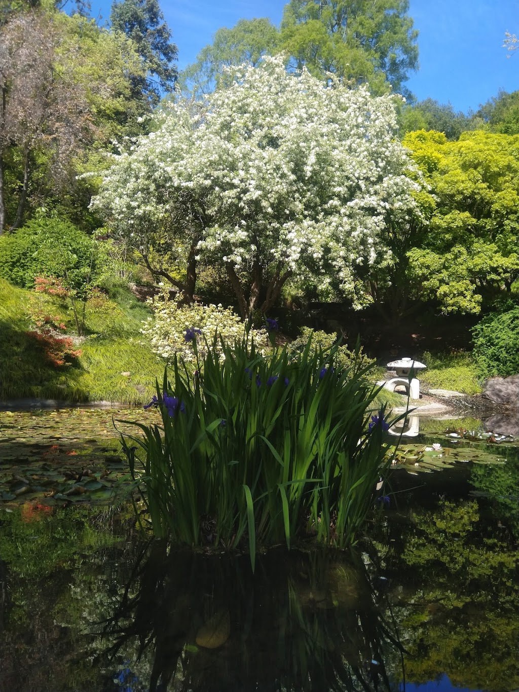 Botanical Garden Lot | 67 Centennial Dr, Berkeley, CA 94705 | Phone: (510) 643-7701