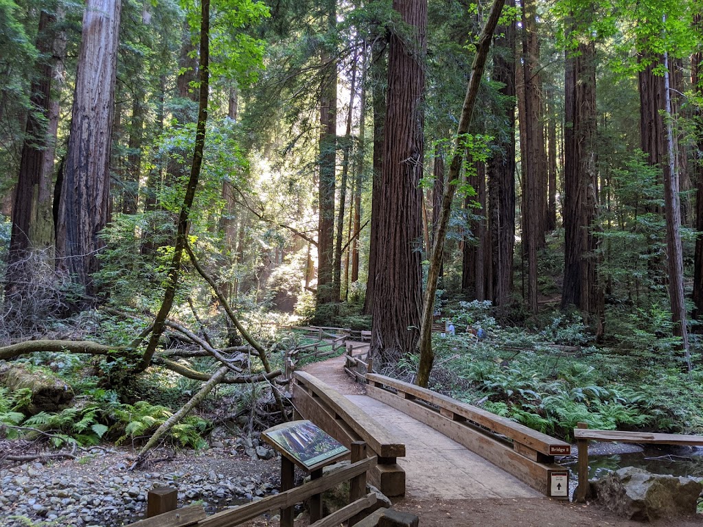 Muir Woods National Monument | Mill Valley, CA 94941 | Phone: (415) 561-2850