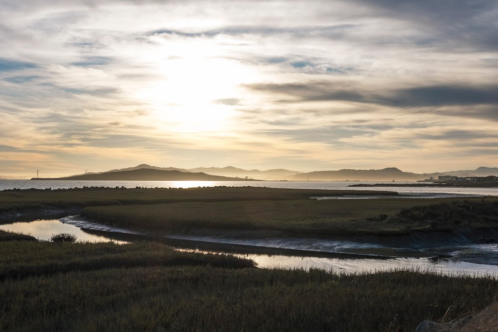 Point Isabel Regional Shoreline | 2701 Isabel St, Richmond, CA 94804 | Phone: (888) 327-2757