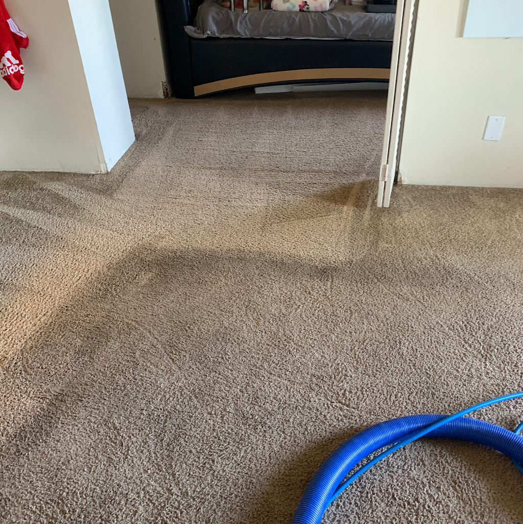 EA carpet and home cleaning | 4581 Renaissance Dr #821, San Jose, CA 95134 | Phone: (408) 674-6247