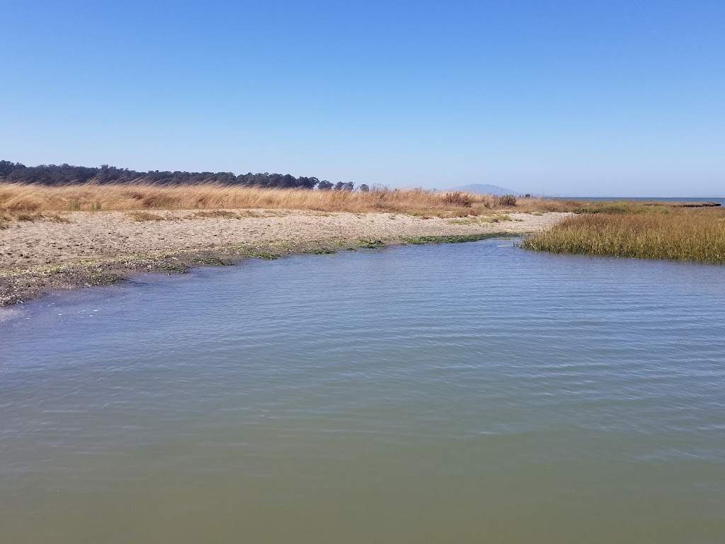 Point Pinole Regional Park - Dotson Family Marsh | Richmond, CA 94801 | Phone: (888) 327-2757