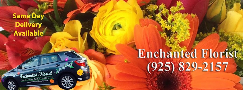 Enchanted Florist & Gifts | 9140 Alcosta Blvd b, San Ramon, CA 94583 | Phone: (925) 829-2157