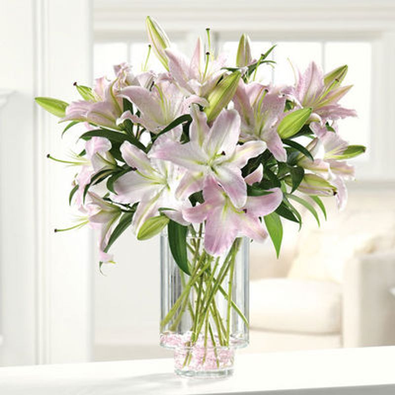 Cindys Fresh Flowers and Gifts | 1539 Laurel Pl, Menlo Park, CA 94025 | Phone: (650) 304-4773