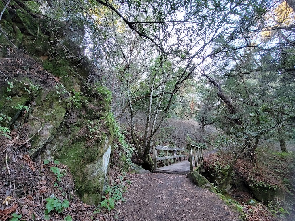 Coal Creek Open Space Preserve | Palomar Park, CA 94062 | Phone: (650) 691-1200
