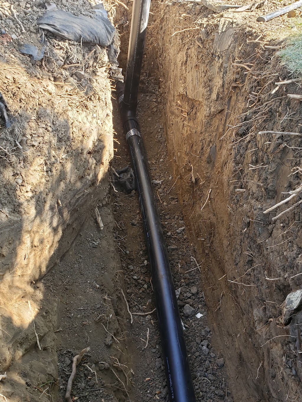 Tony Bs Sewer and Drain Service | 131 Buttercup Cir, Vacaville, CA 95687 | Phone: (707) 208-3775