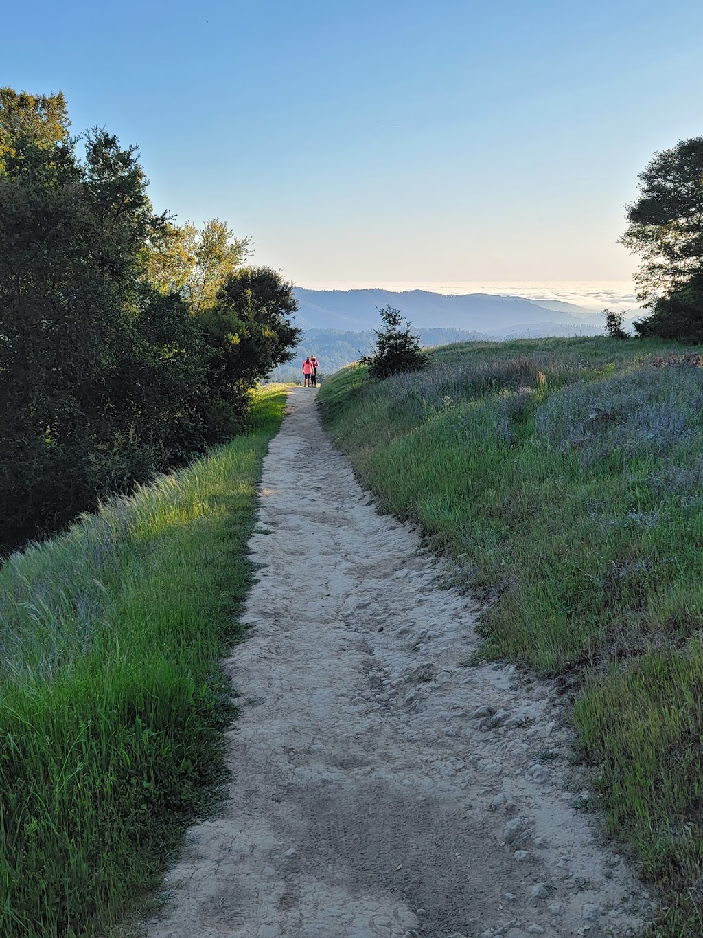 Russian Ridge Open Space Preserve | Redwood City, CA 94062 | Phone: (650) 691-1200