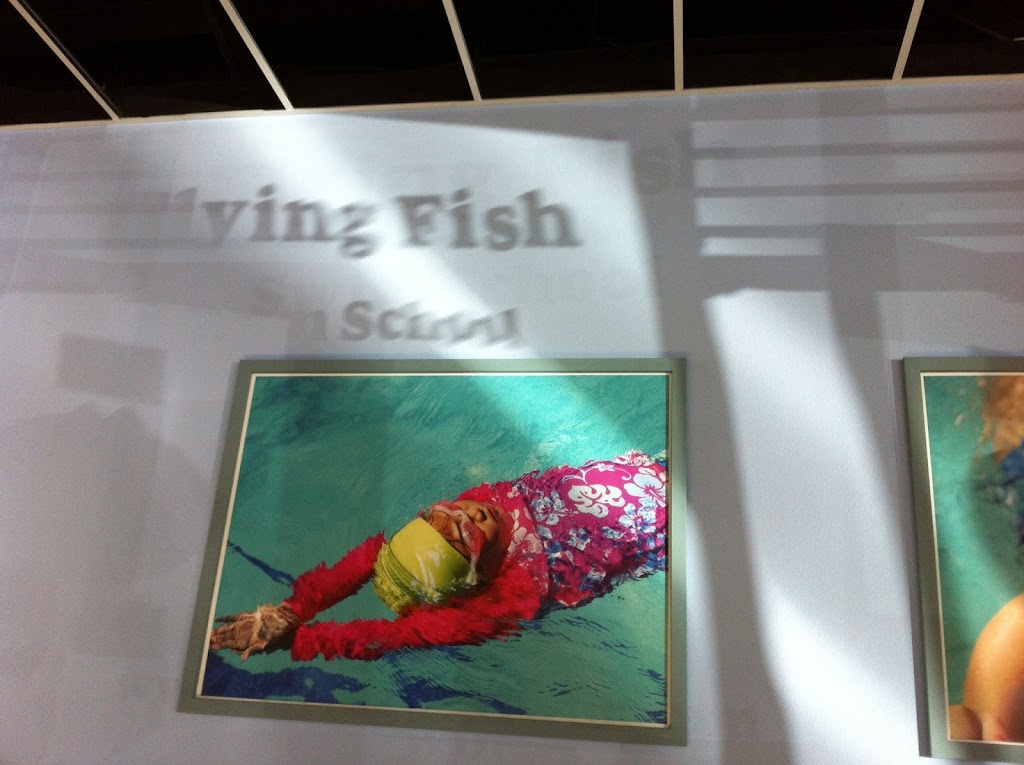 Flying Fish Swim School | 280 Polaris Ave, Mountain View, CA 94043 | Phone: (650) 625-1333