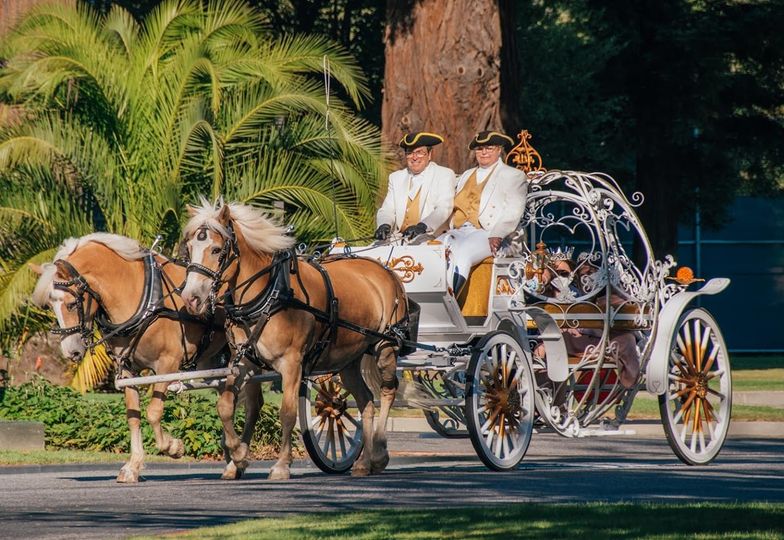 Fancy Ferriage by Horse & Carriage | 3900 Brown Rd, Oakley, CA 94561 | Phone: (925) 679-9412