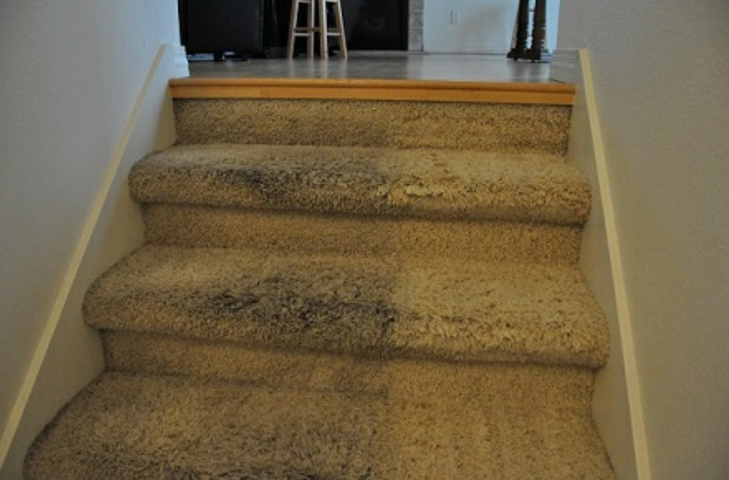 All American Carpet/Upholstery | 555 Sandel Way #106, San Jose, CA 95136 | Phone: (669) 300-2289