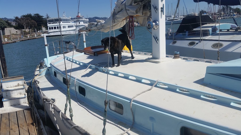 Capt Dan Sailing | 121 Spinnaker Way, Berkeley, CA 94720 | Phone: (510) 552-8295