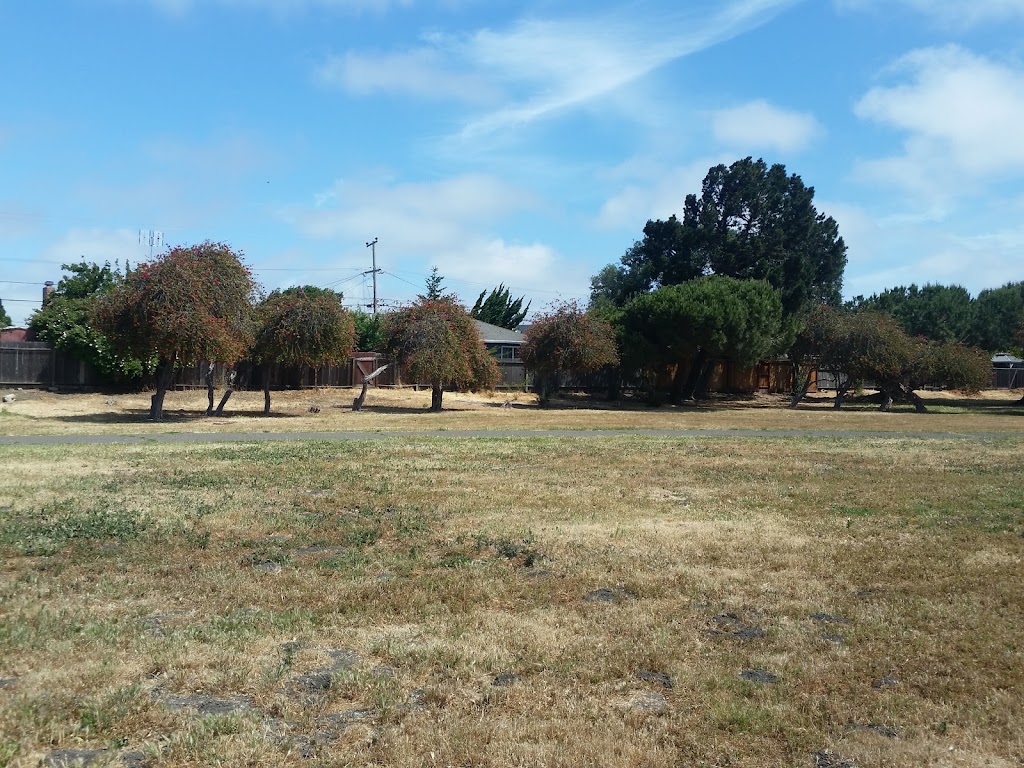 San Lorenzo Community Center Park | 1970 Via Buena Vista, San Lorenzo, CA 94580 | Phone: (510) 881-6700