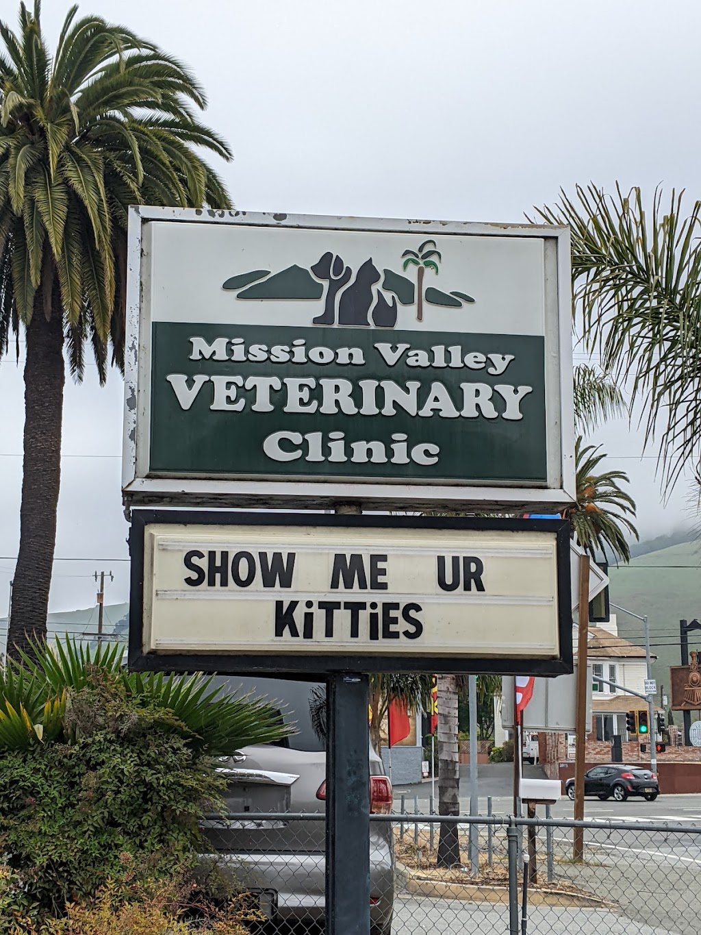 Mission Valley Veterinary Clinic | 55 Mowry Ave, Fremont, CA 94536 | Phone: (510) 797-2323