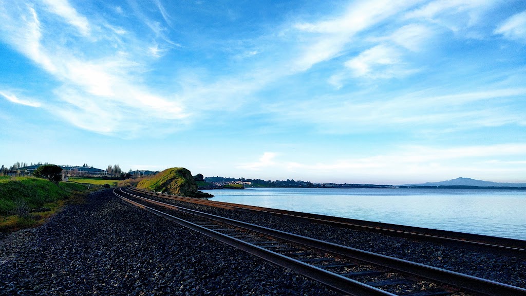 Shoreline Park Area Picnic | 1000 Tug Boat Ln, Hercules, CA 94547 | Phone: (510) 799-8291