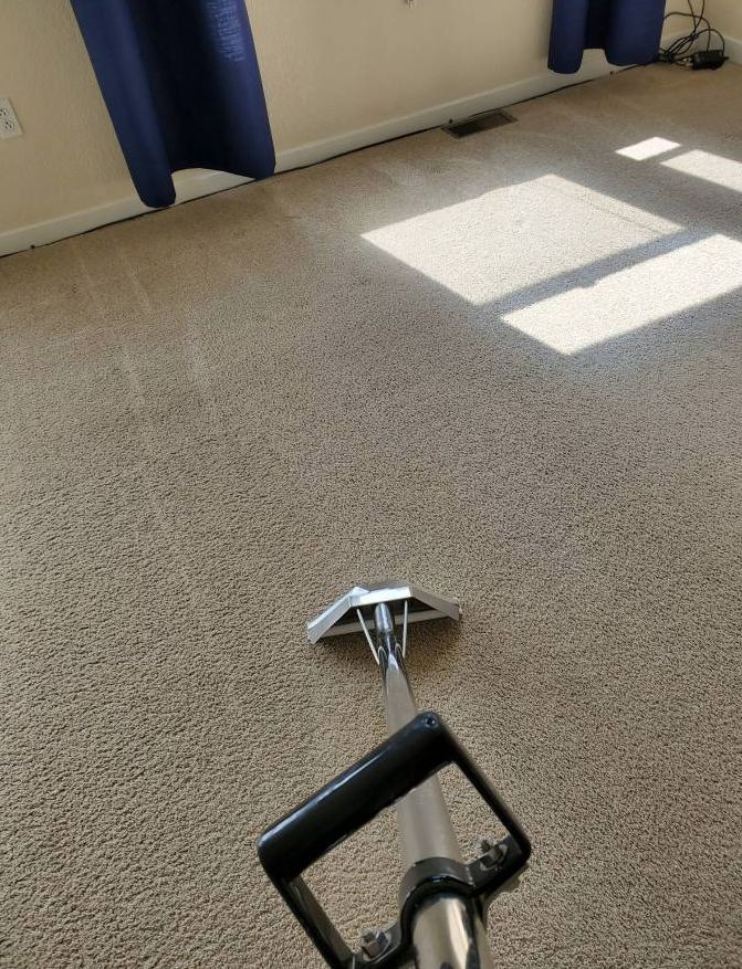 Peter’s Steam Carpet Cleaning | 979 W L St, Benicia, CA 94510 | Phone: (707) 706-0898