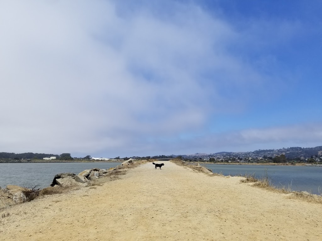 Point Isabel Regional Shoreline | 2701 Isabel St, Richmond, CA 94804 | Phone: (888) 327-2757