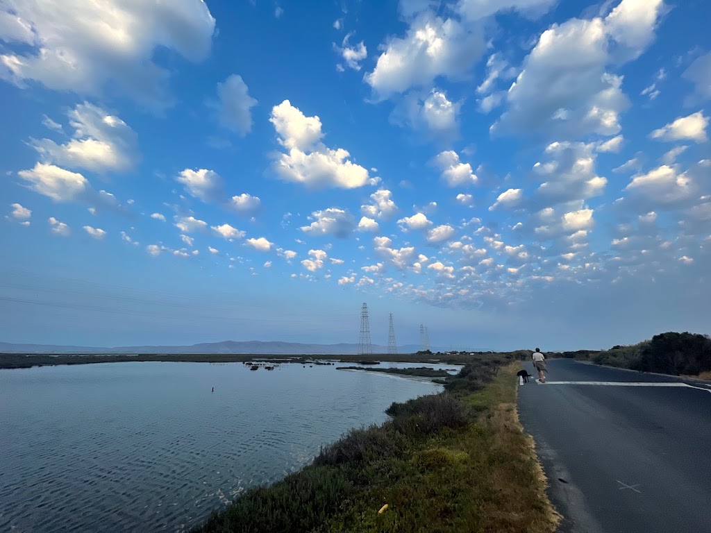 Lucy Evans Baylands Nature Interpretive Center | 2775 Embarcadero Rd, Palo Alto, CA 94303 | Phone: (650) 329-2506