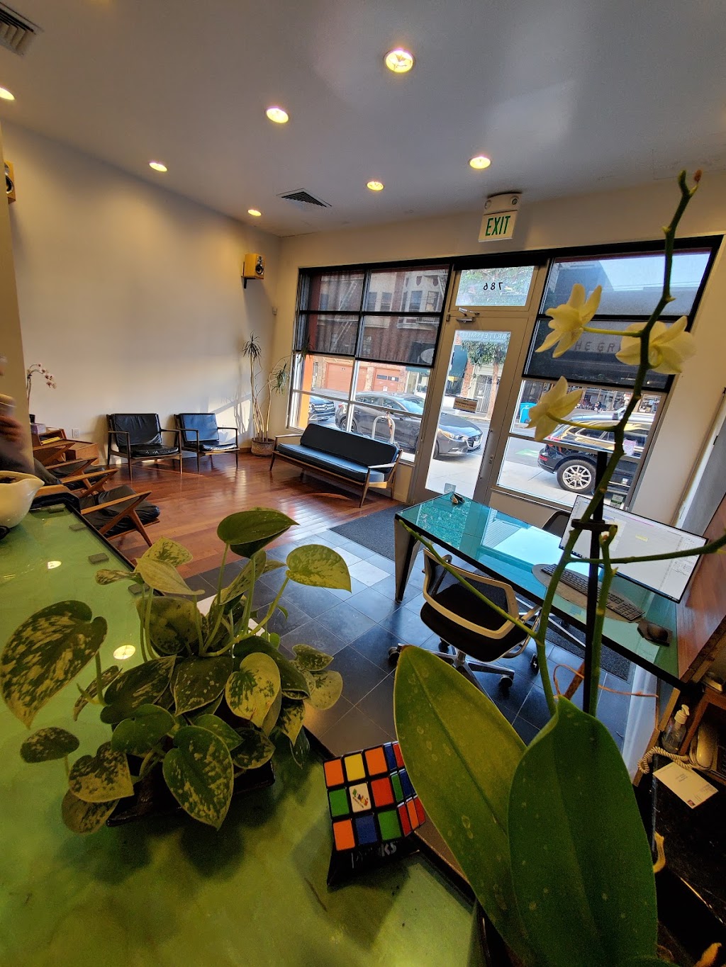 Haight Street Dental | 786 Haight St, San Francisco, CA 94117 | Phone: (415) 626-6611