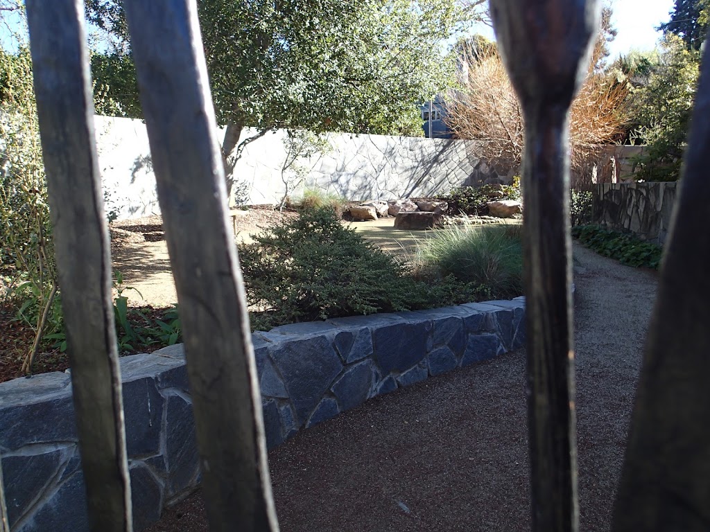 The Sacred Hoop Garden | 941 The Alameda, Berkeley, CA 94707 | Phone: (510) 526-3805