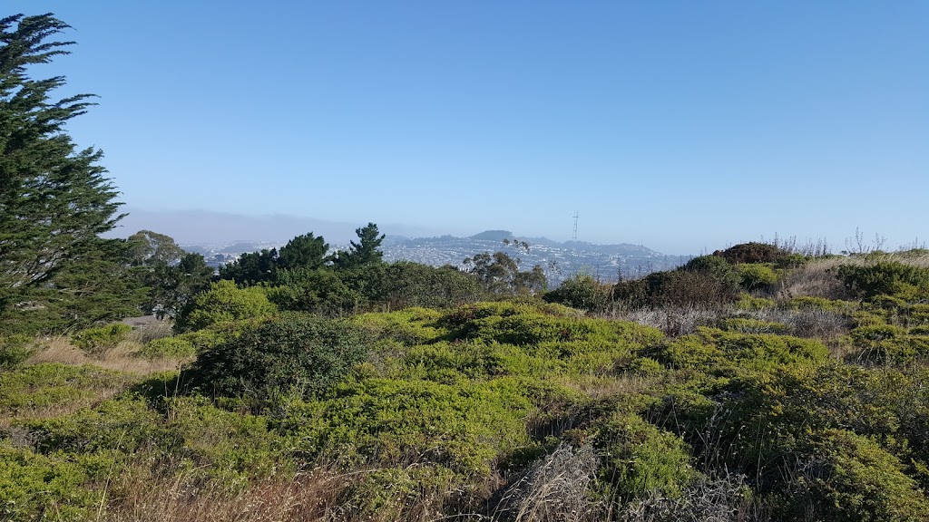 San Bruno Summit Loop | Guadalupe Canyon Pkwy, CA 95814 | Phone: (650) 363-4020