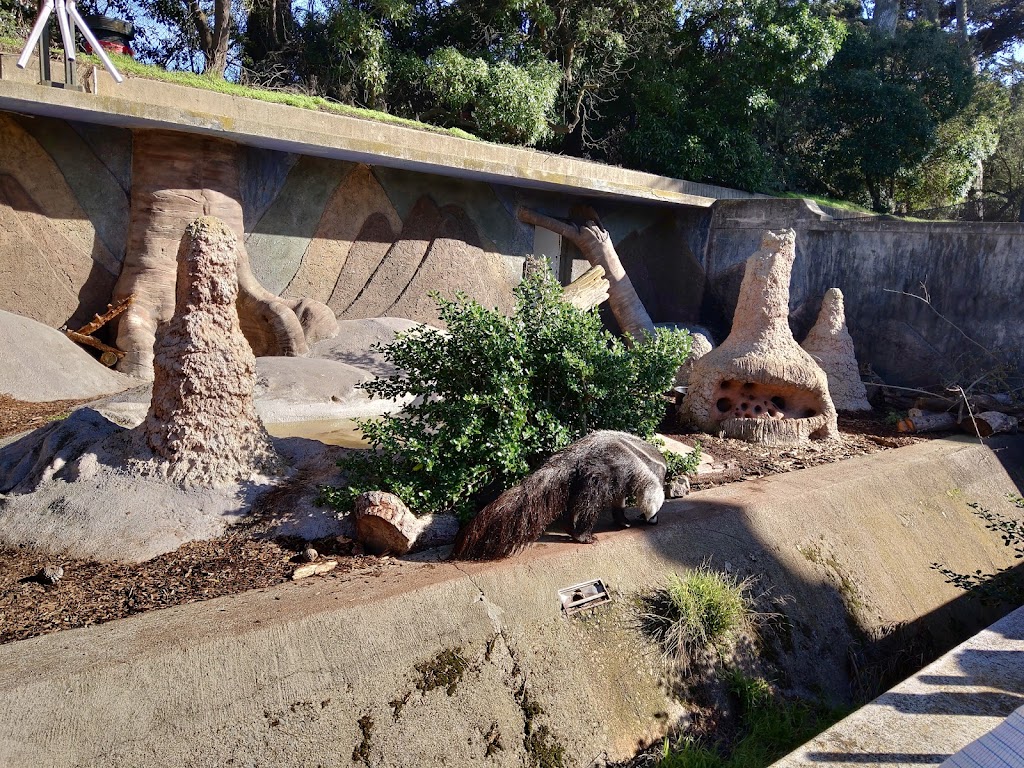 Leaping Lemur Cafe | 1 Zoo Rd, San Francisco, CA 94132 | Phone: (415) 759-8046