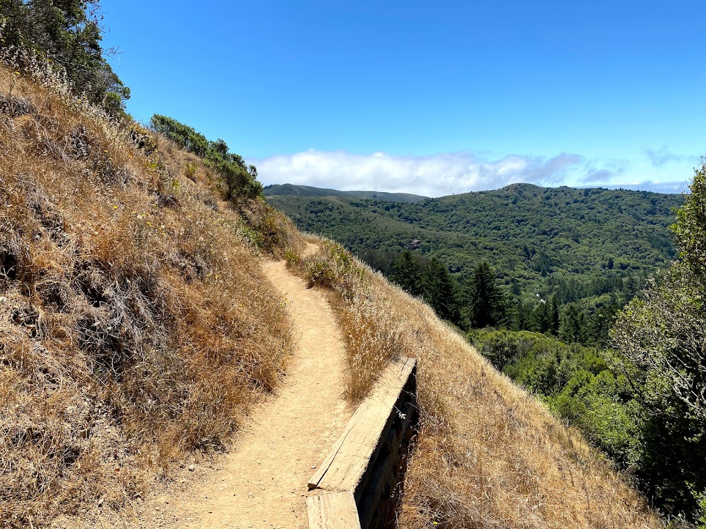 Muir Woods Panoramic trail | 696 Panoramic Hwy, Mill Valley, CA 94941 | Phone: (415) 561-2850