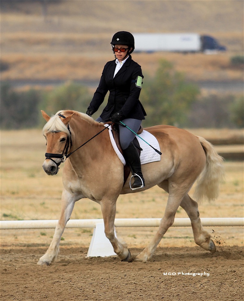 Heather Hill Riding Center | 39 Valley Ct, Atherton, CA 94027 | Phone: (650) 465-4083