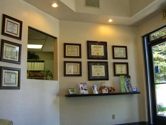 Skyline Dental | 3012 Lone Tree Wy #100, Antioch, CA 94509 | Phone: (925) 778-7722