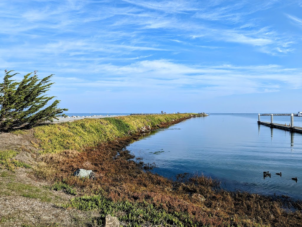 Coyote Point Recreation Area | 1701 Coyote Point Dr, San Mateo, CA 94401 | Phone: (650) 573-2592