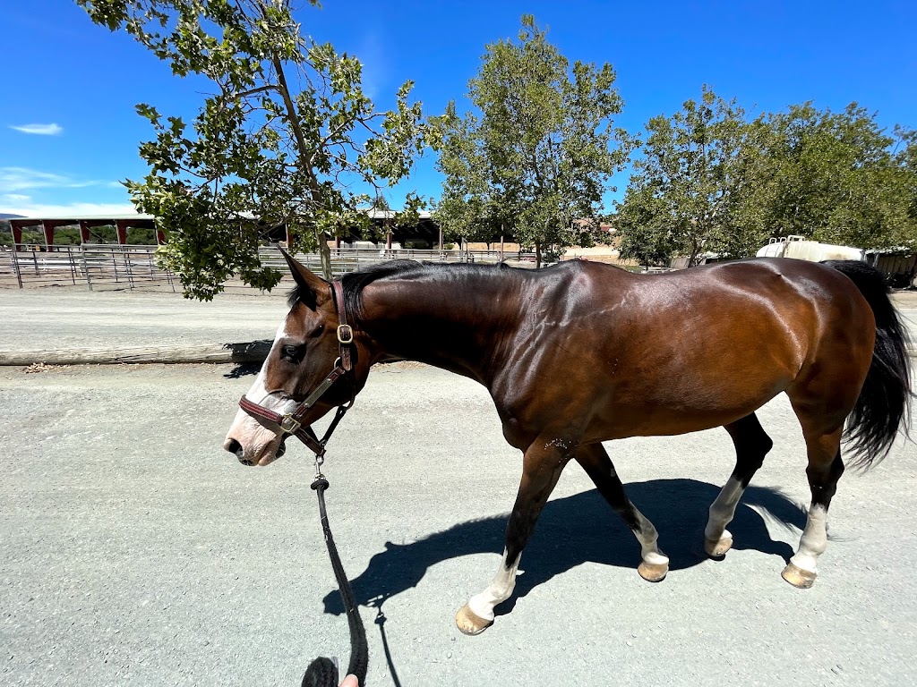 Stone Pine Stables | 100 Ansel Ln #5, Portola Valley, CA 94028 | Phone: (424) 254-6119