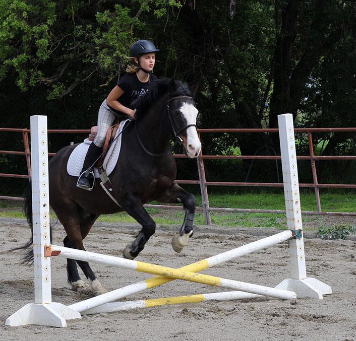 Isola Riding Academy | 3639 Alpine Rd, Portola Valley, CA 94028 | Phone: (650) 332-4886