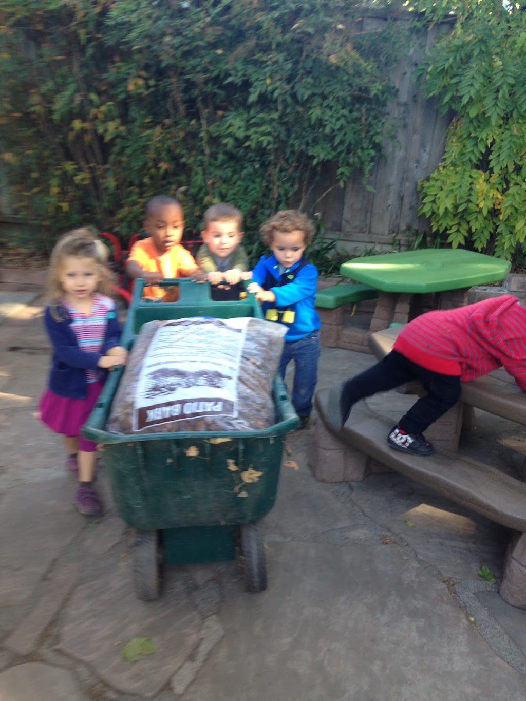 Carolynns Montessori for Toddlers | 1704 Annetta Dr, Petaluma, CA 94954 | Phone: (707) 769-7921