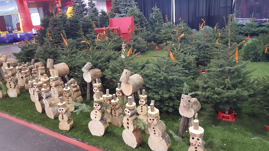 The Guardsmen Christmas Tree Lot | 2 Marina Blvd, San Francisco, CA 94123 | Phone: (415) 573-3310