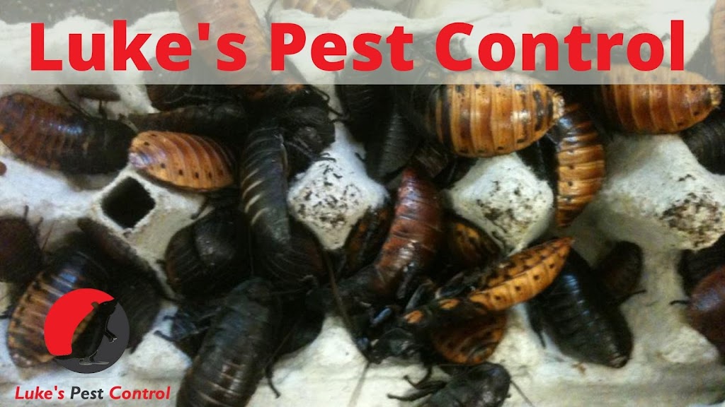Lukes Pest Control | 1998 San Pablo Ave, Oakland, CA 94612 | Phone: (877) 525-0863