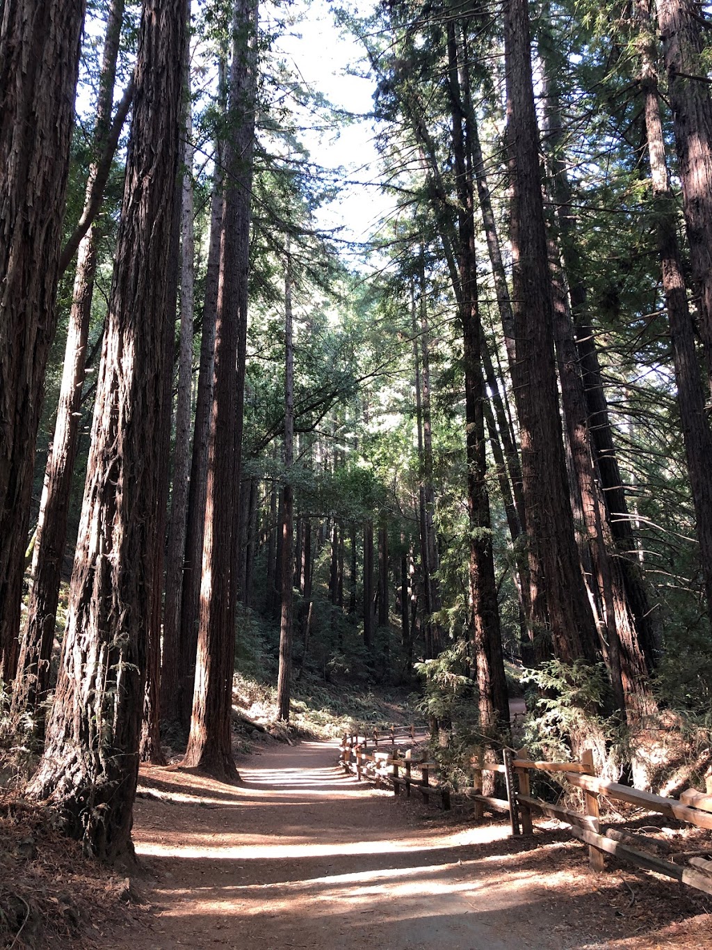 Fern Dell Group Campsite | 7867 Redwood Rd, Oakland, CA 94619 | Phone: (888) 327-2757 ext. 2