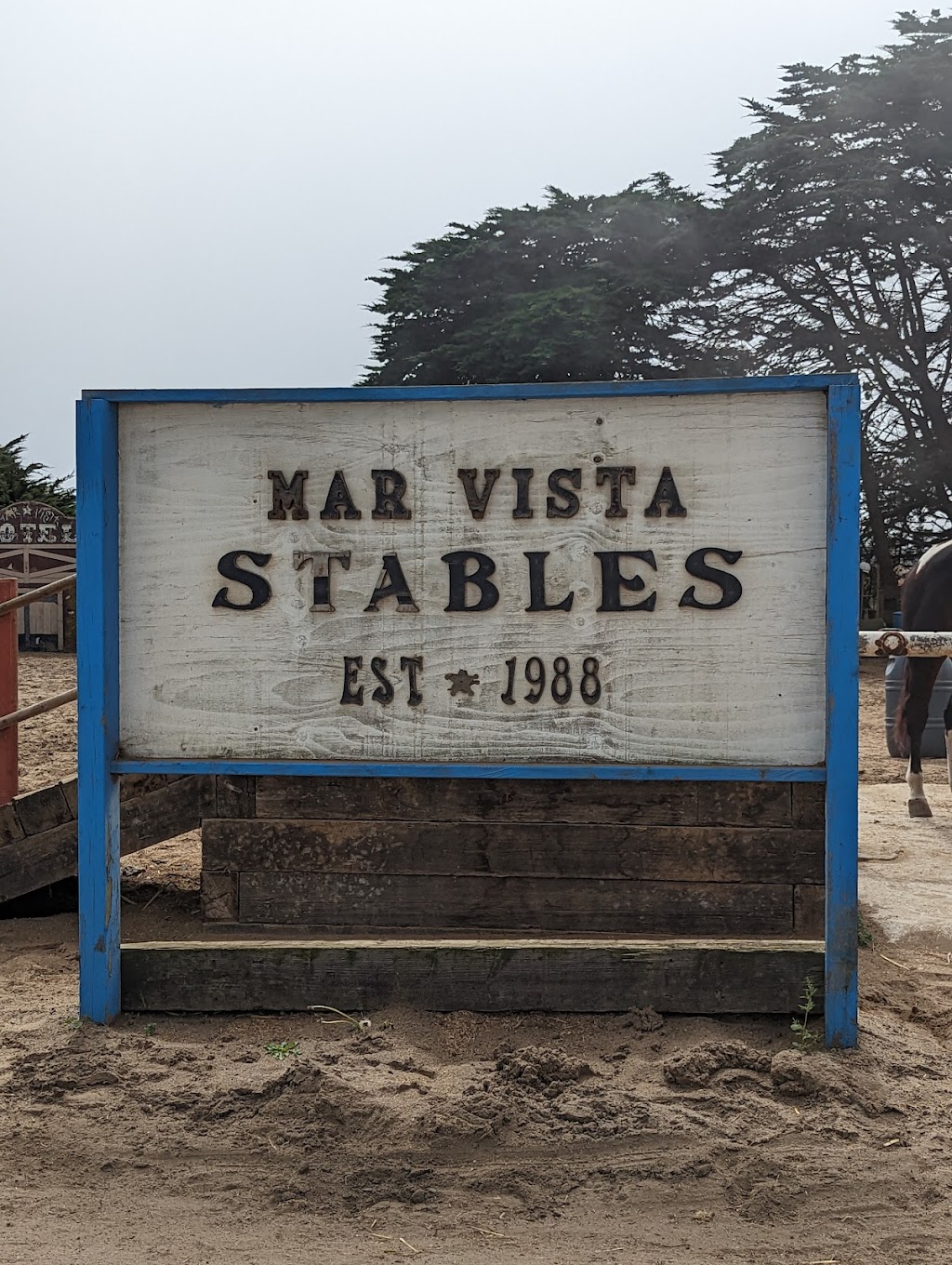 Mar Vista Stables | 2152 Olympic Way, Daly City, CA 94015 | Phone: (650) 288-9196