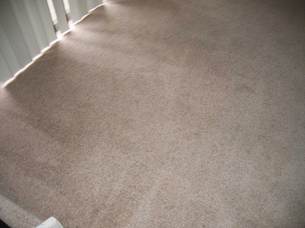 Eminent Carpet Cleaning | 3909 Grand Canyon Ct, Pleasanton, CA 94588 | Phone: (925) 570-0833