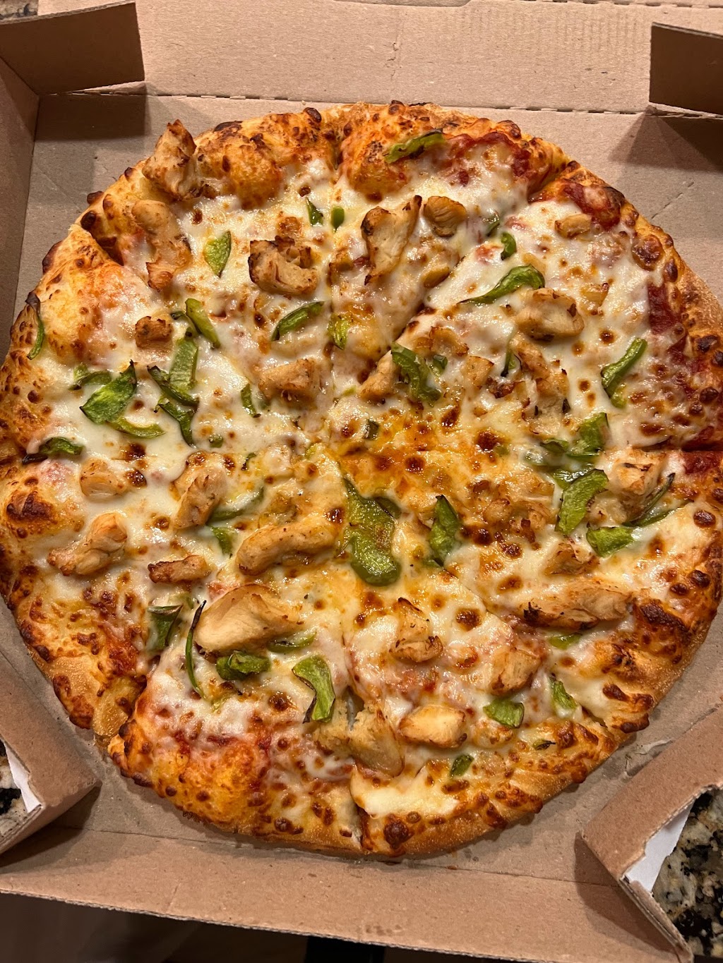 Dominos Pizza | 1710 Berryessa Rd Ste 102, San Jose, CA 95133 | Phone: (408) 259-9090