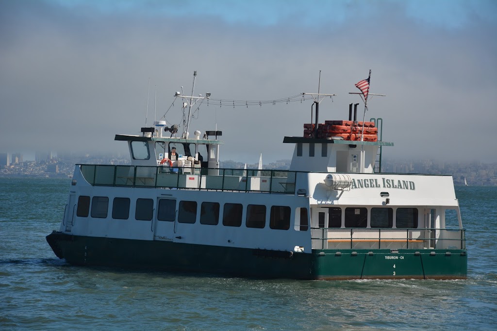 Tamalpais Charters | 21 Main Street, Berth 2, Belvedere Tiburon, CA 94920 | Phone: (415) 789-6082