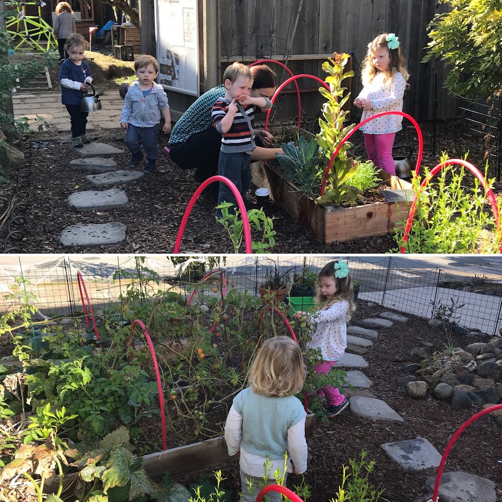 Mighty Bambinis Nature Preschool | 61 Bayview Terrace, Mill Valley, CA 94941 | Phone: (415) 841-3271