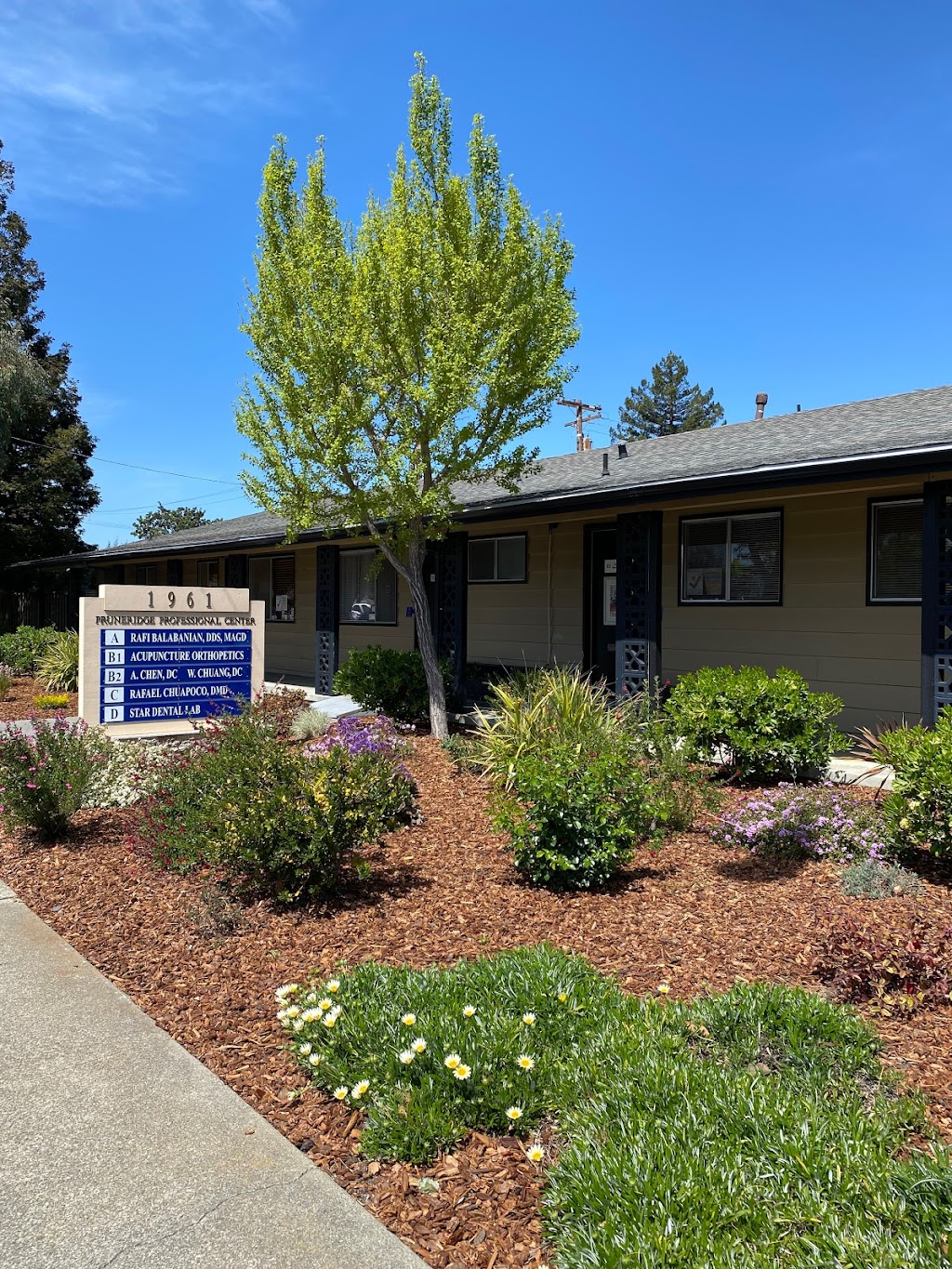 Acupuncture Orthopedics and Natural Healing Center | 1961 Pruneridge Ave Suite # B-1, Santa Clara, CA 95050 | Phone: (408) 292-4391
