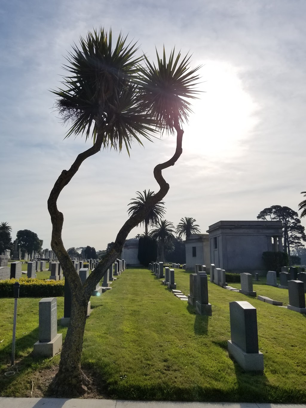 Home of Peace Cemetery | 1299 El Camino Real, Colma, CA 94014 | Phone: (650) 755-4700