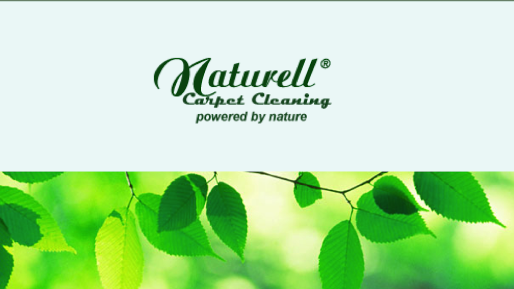 Naturell Carpet Cleaning | 4701 Patrick Henry Dr Bldg 6, Santa Clara, CA 95054 | Phone: (408) 391-5524