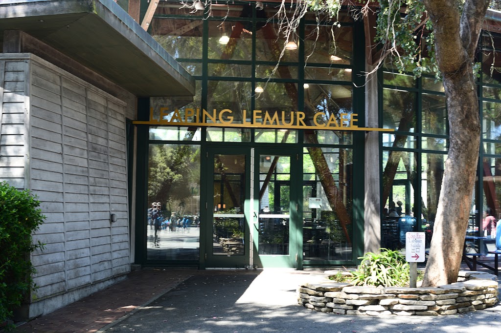 Leaping Lemur Cafe | 1 Zoo Rd, San Francisco, CA 94132 | Phone: (415) 759-8046