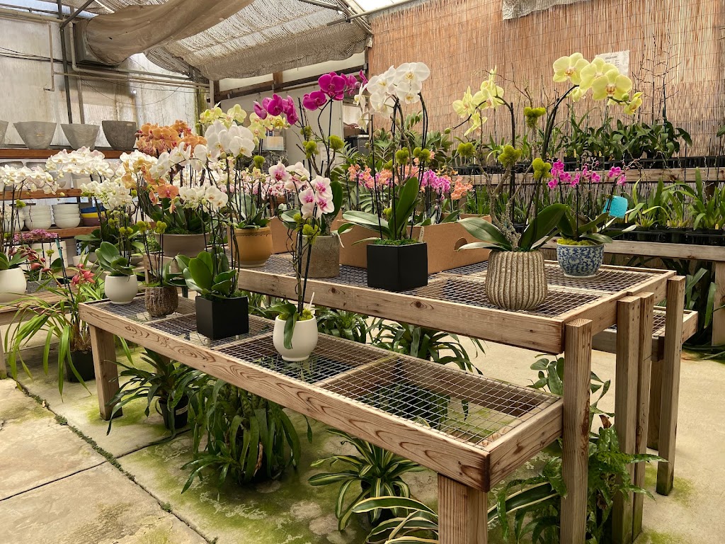 Brookside Orchids | 2718 Alpine Rd, Portola Valley, CA 94028 | Phone: (650) 854-4156