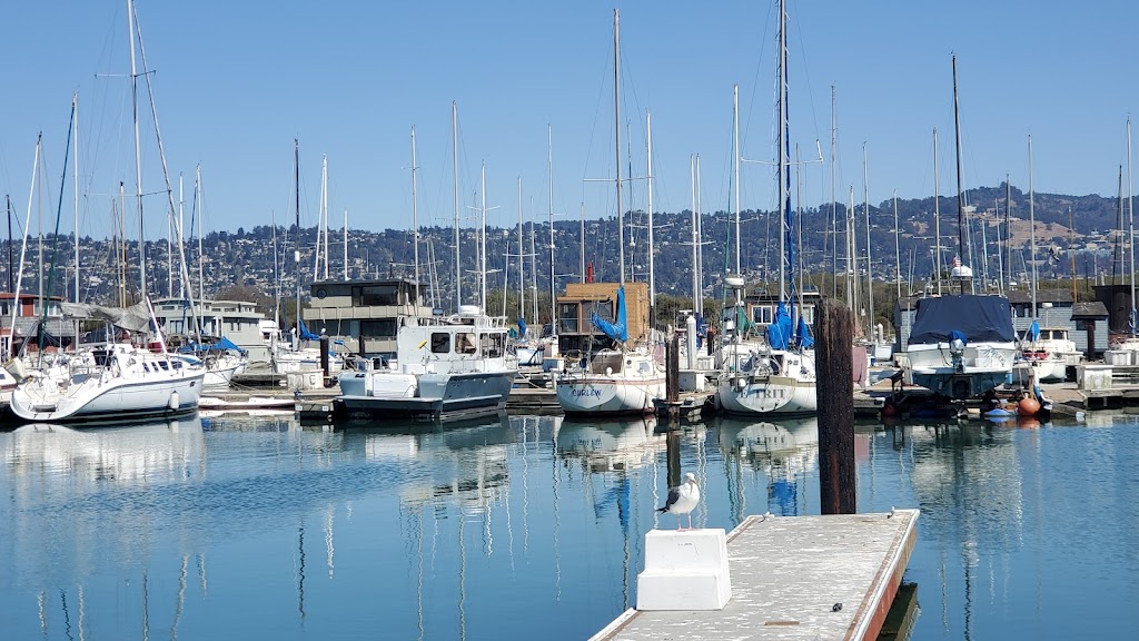 Berkeley Marina, Dock K | 201 University Ave, Berkeley, CA 94710 | Phone: (510) 981-6742