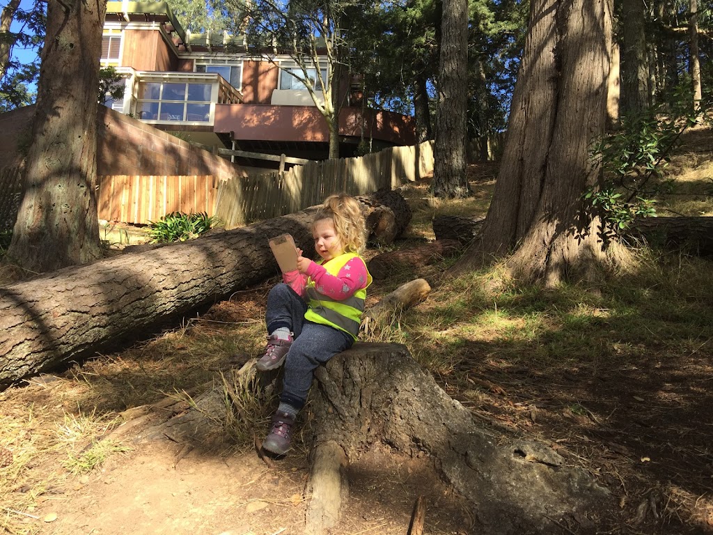 Mighty Bambinis Nature Preschool | 61 Bayview Terrace, Mill Valley, CA 94941 | Phone: (415) 841-3271