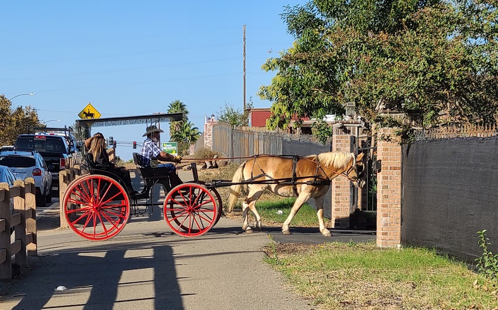 Fancy Ferriage by Horse & Carriage | 3900 Brown Rd, Oakley, CA 94561 | Phone: (925) 679-9412