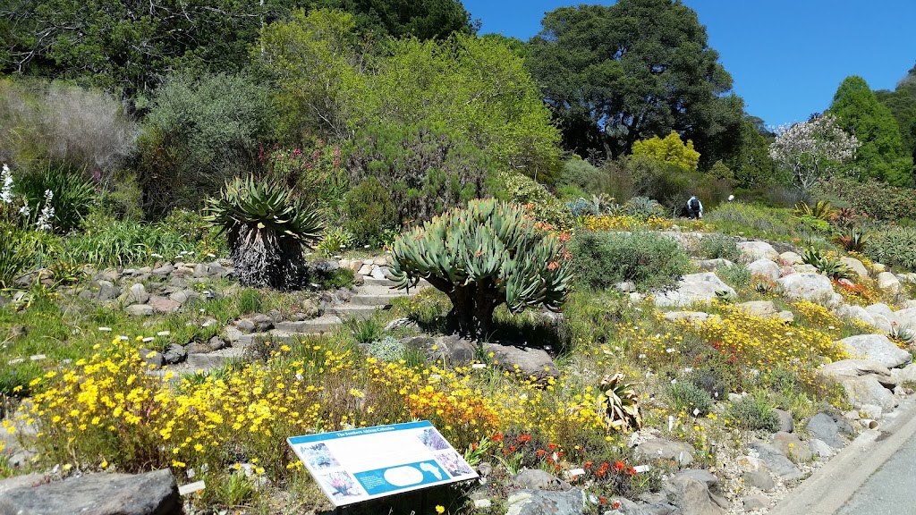 University of California Botanical Garden | 200 Centennial Dr, Berkeley, CA 94720 | Phone: (510) 643-2755