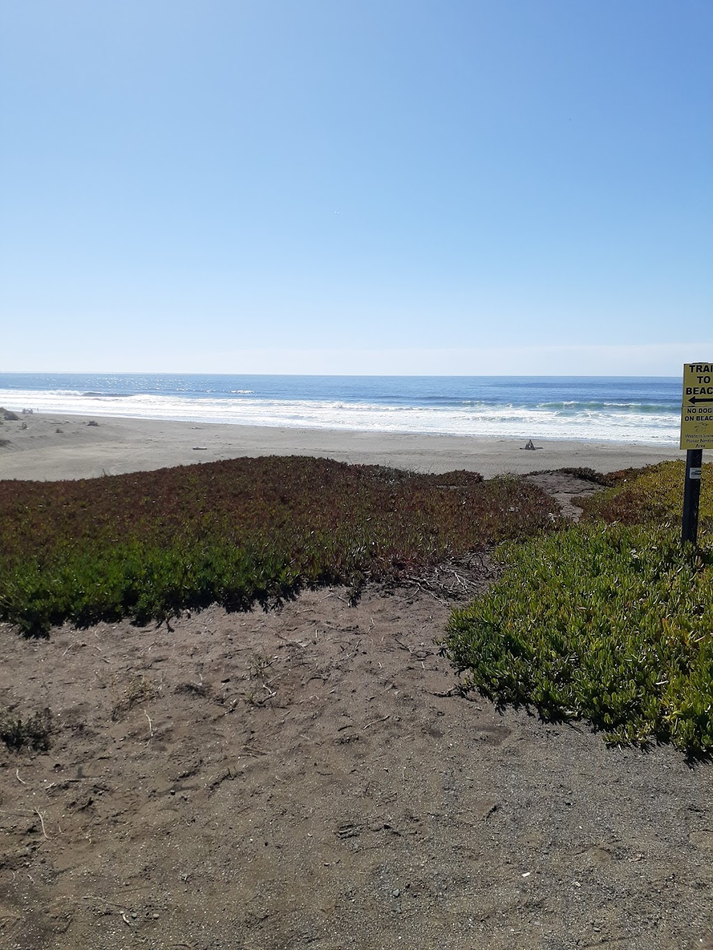 Beaches of Point Reyes | Bear Valley Rd, Point Reyes Station, CA 94956 | Phone: (415) 464-5100