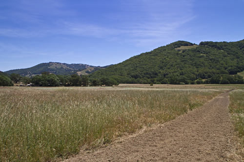 Marshall Hall Riding Academy, LLC | San Antonio Stables, 1220 San Antonio Rd, Petaluma, CA 94952 | Phone: (415) 686-5286